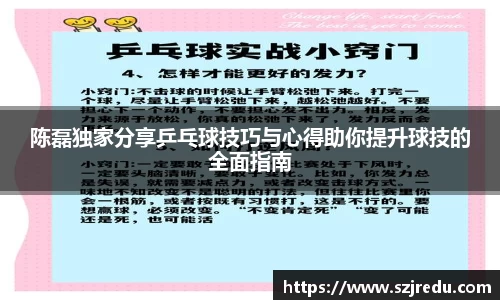 陈磊独家分享乒乓球技巧与心得助你提升球技的全面指南